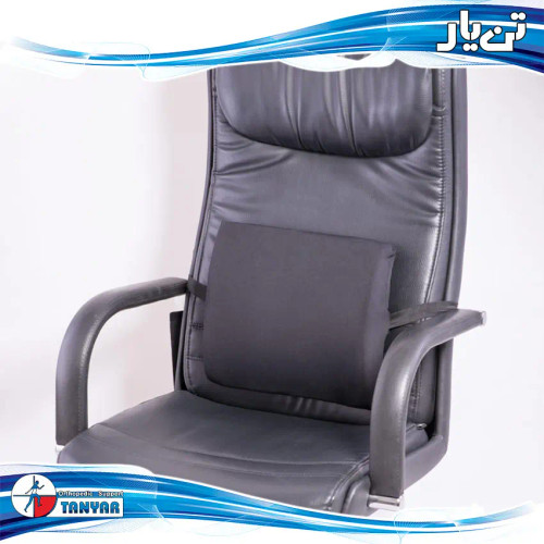 پشتی طبی مموری فوم تن یار