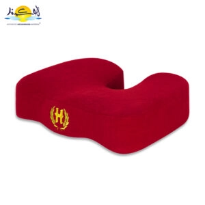 زیر نشیمنی هوشمند U